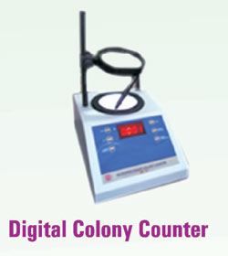 Digital Colony Counter